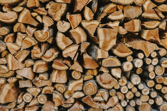 Где используют целлюлозу: от таблеток и вискозы до биотоплива