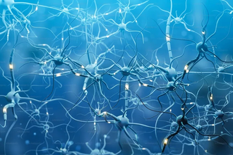 Нейросети учатся забывать: прорыв для непрерывного обучения ИИ