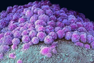 Биокомпьютер из нейронов: как живой процессор изменит будущее ИИ