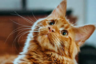 Почему эмпатия важна для общества и как можно ее развить