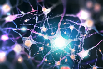 Как модель реального нейрона сделала искусственный интеллект эффективнее