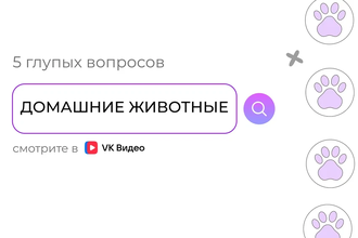 Тайный язык кошек: как понять, что питомец вас любит