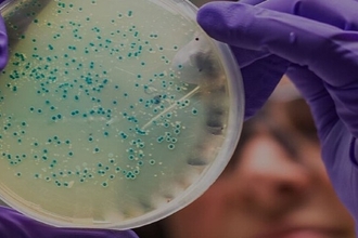 Трансплантация микробиоты одобрена: первый в мире метод лечения