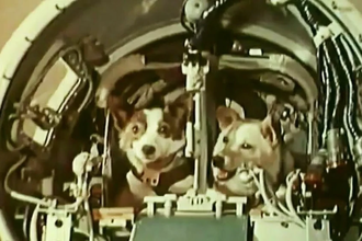 Белка и Стрелка: неизвестные факты о легендарном собачьем полёте в космос