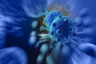 Дефенсин: как антимикробный белок организма атакует раковые опухоли