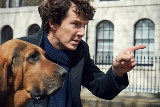 Полные геномы 500 тысяч человек: новые данные Биобанка Великобритании