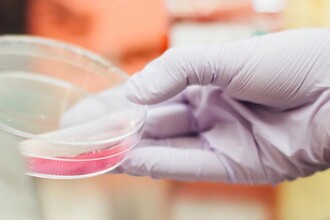 TIL-подобные лимфоциты из крови: новая надежда в клеточной терапии рака