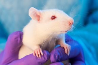 Новая терапия рассеянного склероза: как контроль над белком рилином помогает лечить болезнь