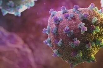 Как редкие пациенты с гепатитом С помогают создать универсальную вакцину