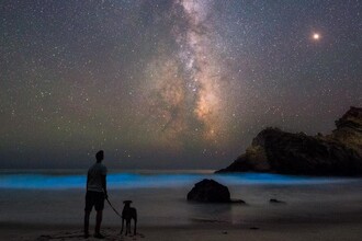 Микробиота человека: целая вселенная уникальных генов внутри нас