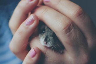 Синдром Барта: как генная терапия даёт надежду на спасение сердца