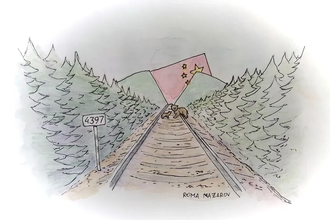 Медведи и рельсы: как работают и выживают путейцы в глухой тайге