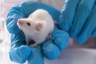 Напечатанные на 3D-принтере дыхательные пути: прорыв в трансплантологии