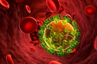 Синтетические белки против ВИЧ: как остановить вирус без терапии