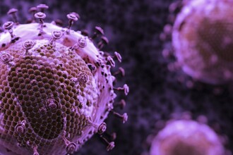 Генная терапия победила «болезнь мальчика в пузыре»: дети с X-ТКИД получили иммунитет