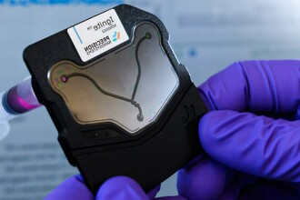 Новая технология сборки лекарственных наночастиц: быстрее и без лишних этапов