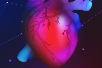 Наночастицы против инфаркта: новая терапия для предотвращения рубцевания сердца