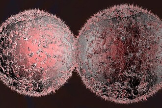 Умные наночастицы: как они атакуют рак, не вредя здоровым клеткам