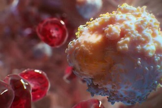 Наночастицы прорывают защиту опухоли: как они усиливают иммунотерапию рака