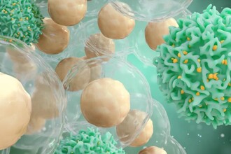 Новый метод CAR T-терапии: как сделать лечение рака крови универсальным