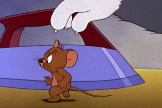 Аритмия: почему сердце мужчины и женщины бьется по-разному