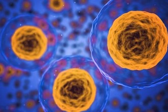 Газдермин D: как белок запускает воспаление через интерлейкин-1α