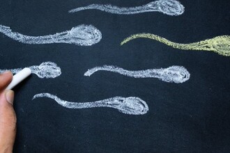 Новые генетические причины мужского бесплодия: как мутации при зачатии влияют на фертильность