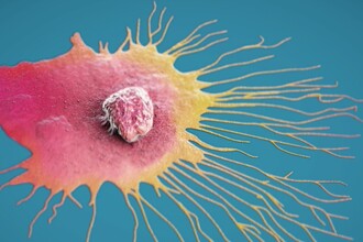 Новая молекула против метастазов: как RGX-202 борется с колоректальным раком