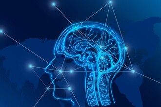 Мозговые ритмы: можно ли измерить предвзятость решений?