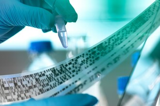 NORAD: как один ген влияет на митохондрии и ускоряет старение