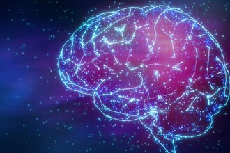 Почему мы забываем? Секрет устойчивых воспоминаний в хоре нейронов