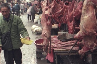 Происхождение COVID-19: что нашли учёные в новых данных с рынка Уханя?