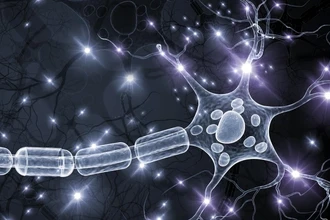 Вирус гепатита Е атакует нейроны: как инфекция повреждает нервную систему