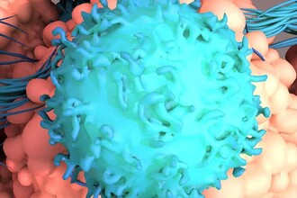 ST3GAL1: навигатор для иммунных клеток в борьбе с раком