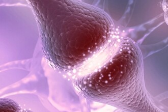 Дофамин и шизофрения: найден генетический ключ к болезни