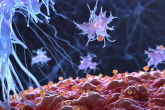 Наше оружие иммунитета родом из бактерий: открытие возрастом в миллиард лет