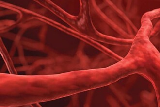 Фермент ADA2: неожиданный стоп-кран для иммунного шторма и воспаления