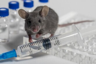 Ген CCR5 и память: почему мы теряем связь между воспоминаниями с возрастом