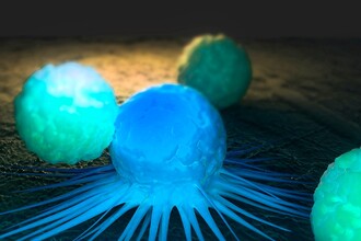 MiРНК-132: как крошечная молекула управляет нашей иммунной защитой