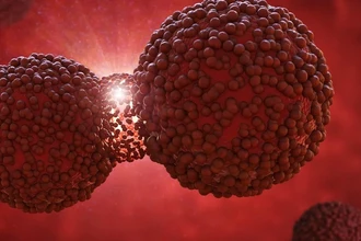 Митохондрии — ключ к здоровью? Новый подход к лечению болезней