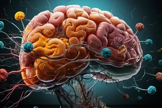 Как нейроны избавляются от старых белков: тайна клеточной уборки