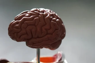 Новое исследование: как опоясывающий лишай влияет на память и мышление