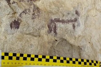 Ради фото в соцсети турист повредил древние рисунки возрастом 6000 лет в Испании