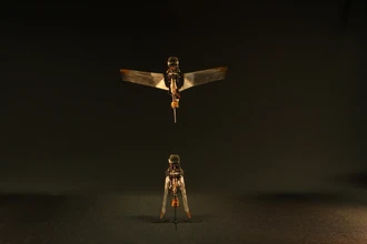 Как у жука: робот с пассивным механизмом крыльев для полёта в ограниченном пространстве