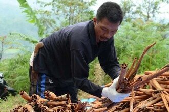 MIC: молекула из корицы для здоровья митохондрий и долголетия