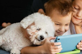 Что видит собака: как мозг питомца распознает человеческие лица