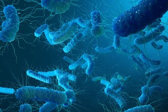 Новое оружие против туберкулеза: как лишить бактерию пищи для выживания