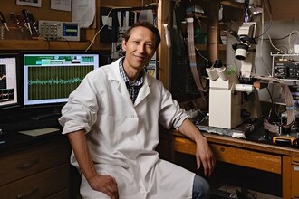 Как травма головы запускает болезнь Альцгеймера на молекулярном уровне