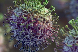 Тайный агент PA-X: как вирус гриппа А «глушит» сигналы клетки для выживания