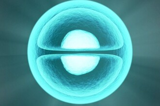 Опухоль стала мягче? Учёные о новом маркере риска метастазов